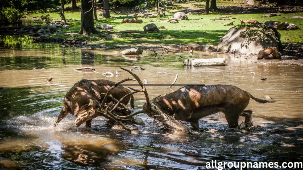  funny deer names