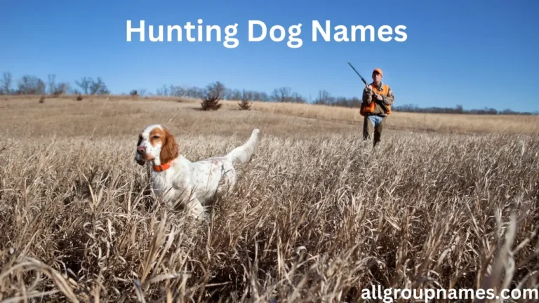 hunting dog names
