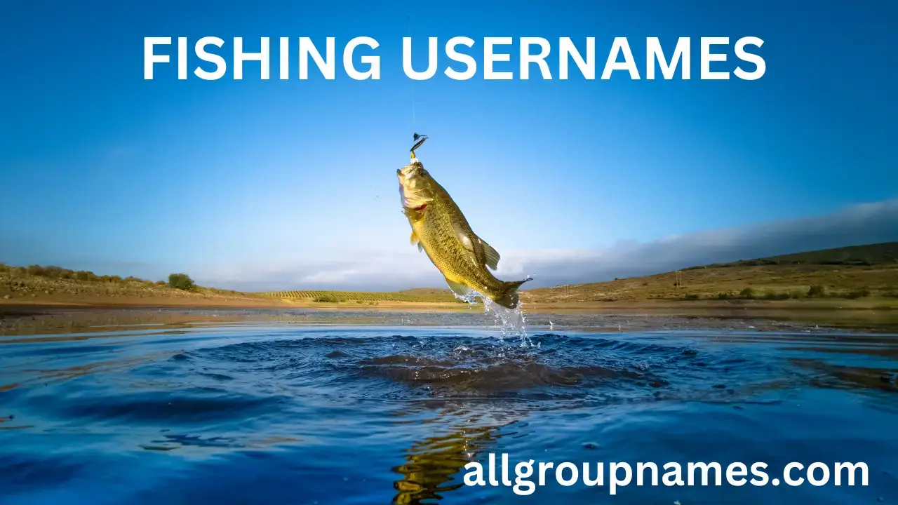 FISHING USERNAMES