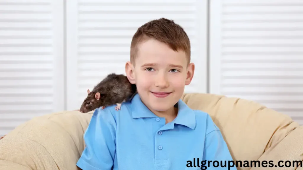 funny rat names