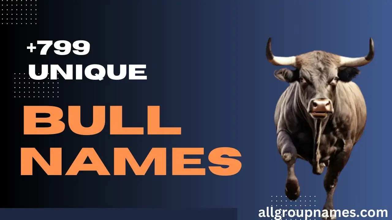 Bull Names