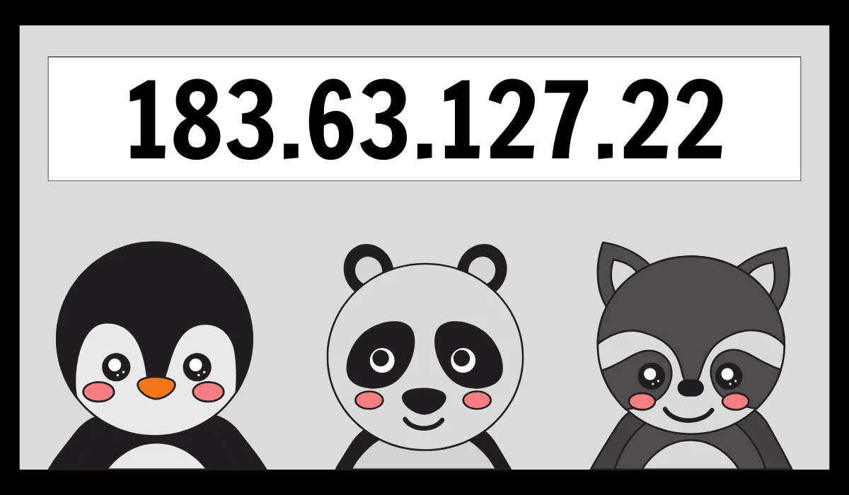 183.63.127.22 IP Address Guide & Insights Explained